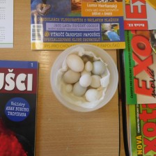 Chovatelský program
