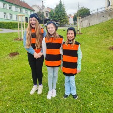 ŠD - projektové odpoledne na téma VČELY