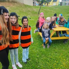 ŠD - projektové odpoledne na téma VČELY