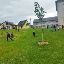 ŠD - projektové odpoledne na téma VČELY