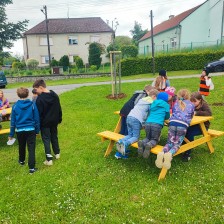 ŠD - projektové odpoledne na téma VČELY