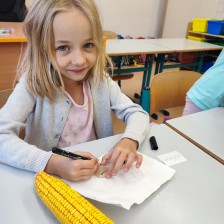 ŠD - září 2024