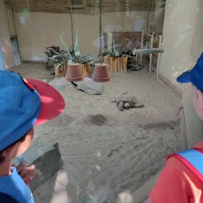 Školní výlet do ZOO Olomouc