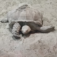 Školní výlet do ZOO Olomouc