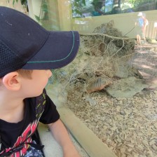 Školní výlet do ZOO Olomouc