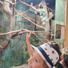 Školní výlet do ZOO Olomouc