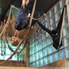 Školní výlet do ZOO Olomouc