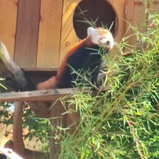 Školní výlet do ZOO Olomouc