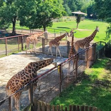 Školní výlet do ZOO Olomouc