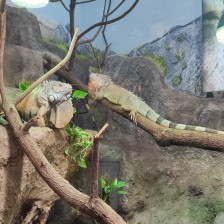 Školní výlet do ZOO Olomouc