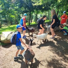 Školní výlet do ZOO Olomouc
