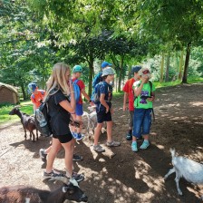 Školní výlet do ZOO Olomouc