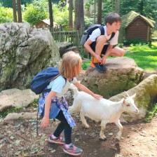 Školní výlet do ZOO Olomouc