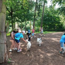Školní výlet do ZOO Olomouc