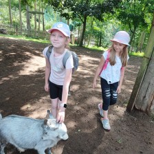 Školní výlet do ZOO Olomouc