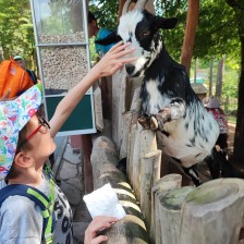 Školní výlet do ZOO Olomouc