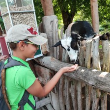 Školní výlet do ZOO Olomouc