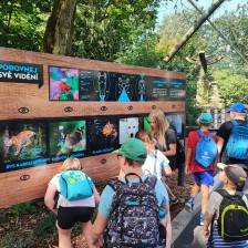 Školní výlet do ZOO Olomouc