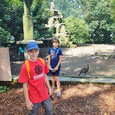 Školní výlet do ZOO Olomouc