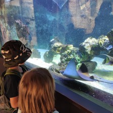 Školní výlet do ZOO Olomouc