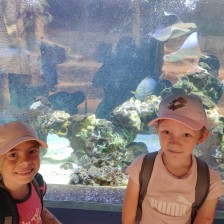 Školní výlet do ZOO Olomouc