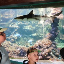 Školní výlet do ZOO Olomouc