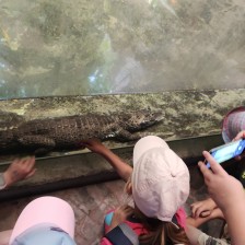 Školní výlet do ZOO Olomouc