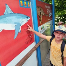 Školní výlet do ZOO Olomouc